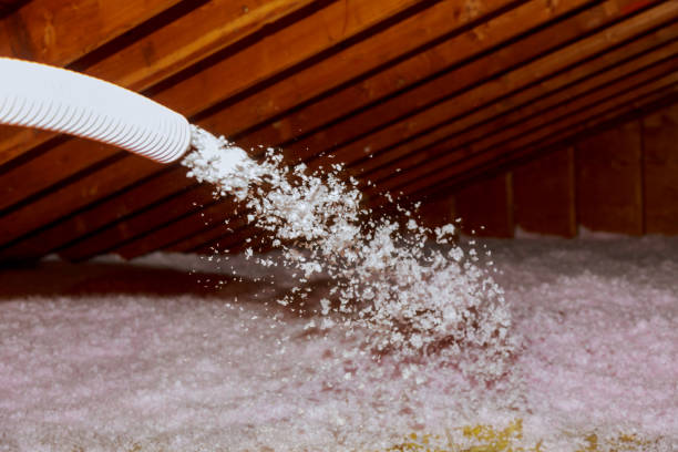 Best Energy Efficiency Insulation in Lakewood, SC