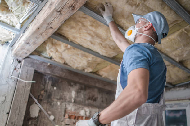 Best Insulation for Specific Applications in Lakewood, SC