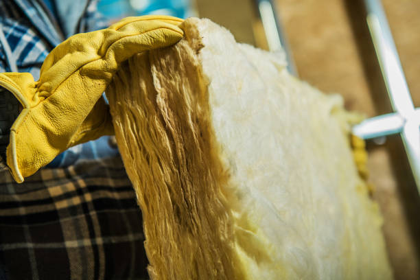 Best DIY Insulation Kits and Guidance in Lakewood, SC