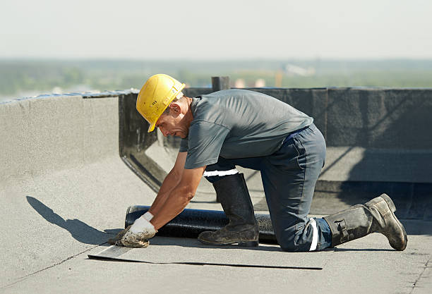 Professional Insulation Contractor in Lakewood, SC