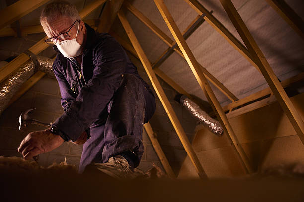 Types of Insulation We Offer in Lakewood, SC